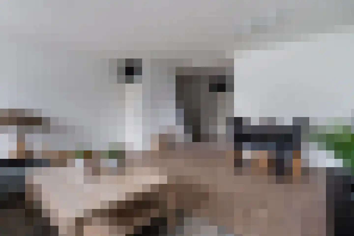 Weena 913 Rotterdam thumbnail 18
