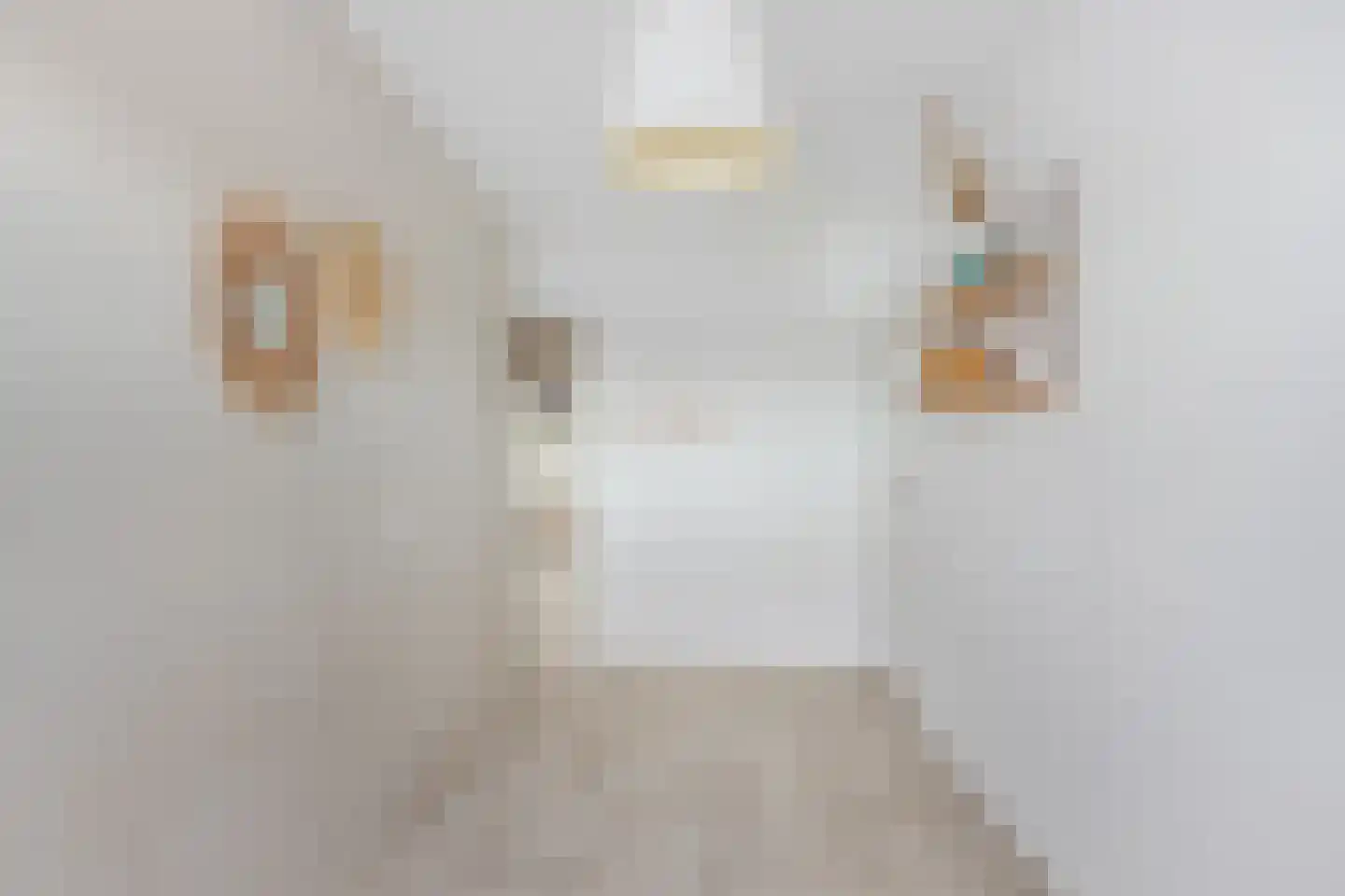 Weena 931 Rotterdam thumbnail 33