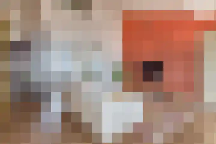 Weena 983 Rotterdam thumbnail 16