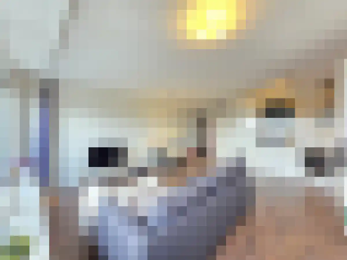 Weena Rotterdam thumbnail 6