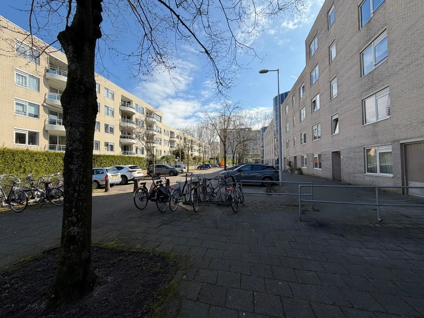 Weenahof 23 Amsterdam thumbnail 15