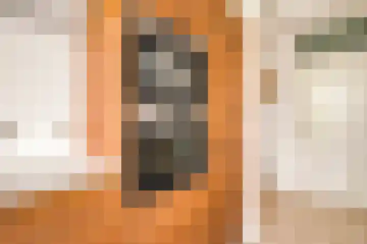 Weenahof 4 Amsterdam thumbnail 10