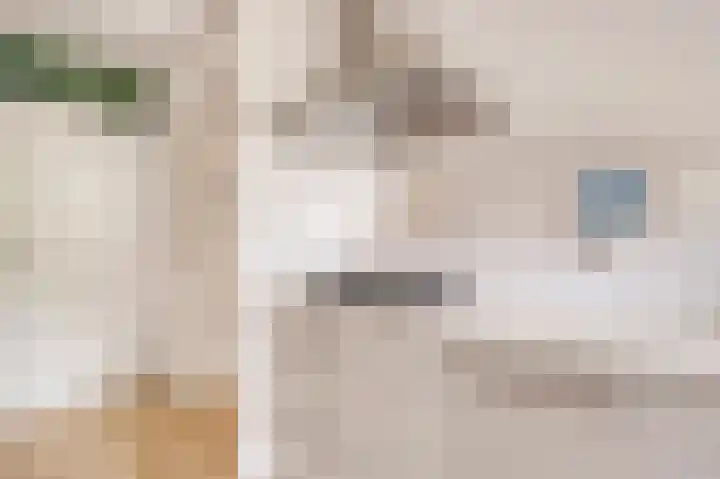 Weenahof 4 Amsterdam thumbnail 12