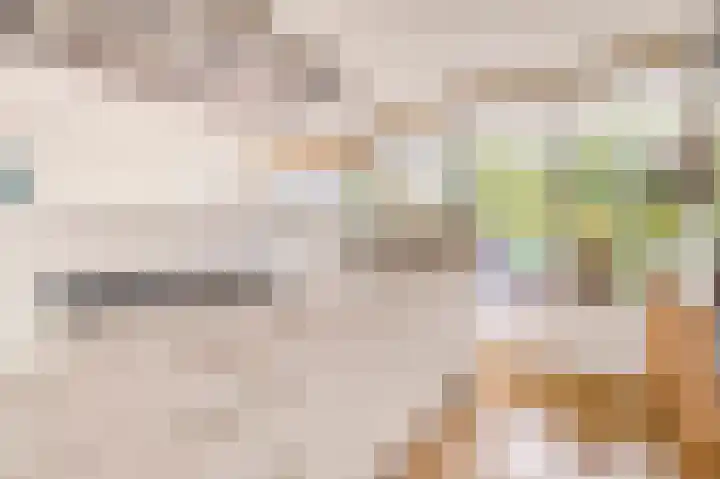 Weenahof 4 Amsterdam thumbnail 13