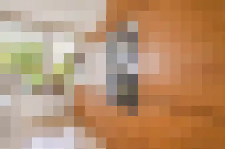Weenahof 4 Amsterdam thumbnail 14