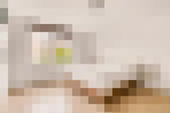 Weenahof 4 Amsterdam thumbnail 16