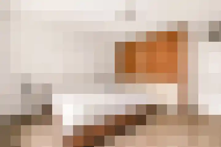 Weenahof 4 Amsterdam thumbnail 17