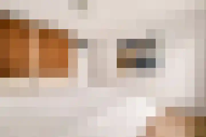 Weenahof 4 Amsterdam thumbnail 18