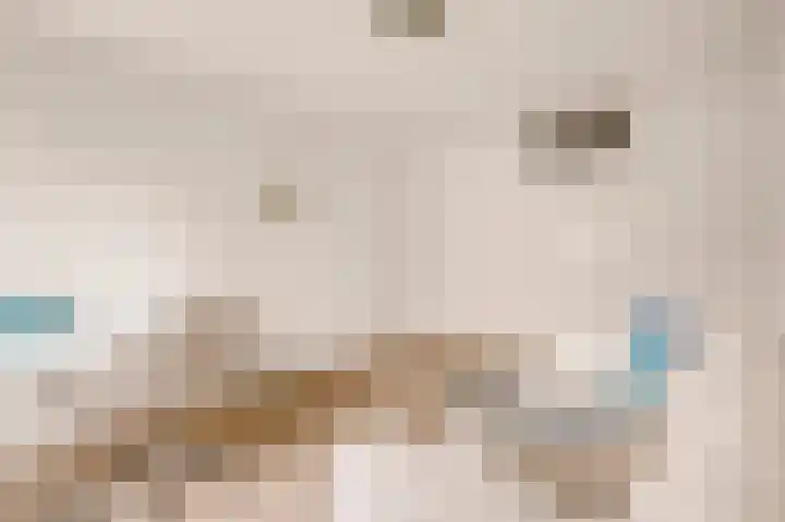 Weenahof 4 Amsterdam thumbnail 20