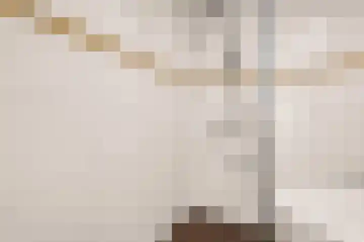 Weenahof 4 Amsterdam thumbnail 22