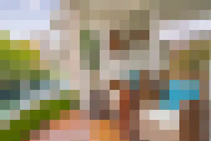 Weenahof 4 Amsterdam thumbnail 25