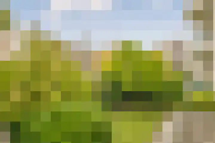 Weenahof 4 Amsterdam thumbnail 27
