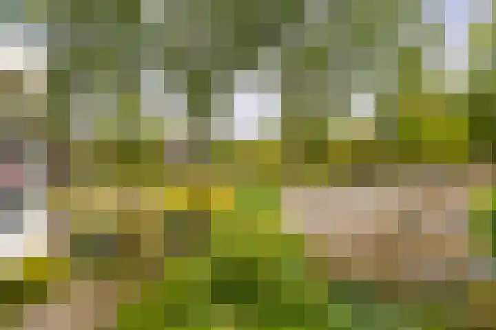 Weenahof 4 Amsterdam thumbnail 28
