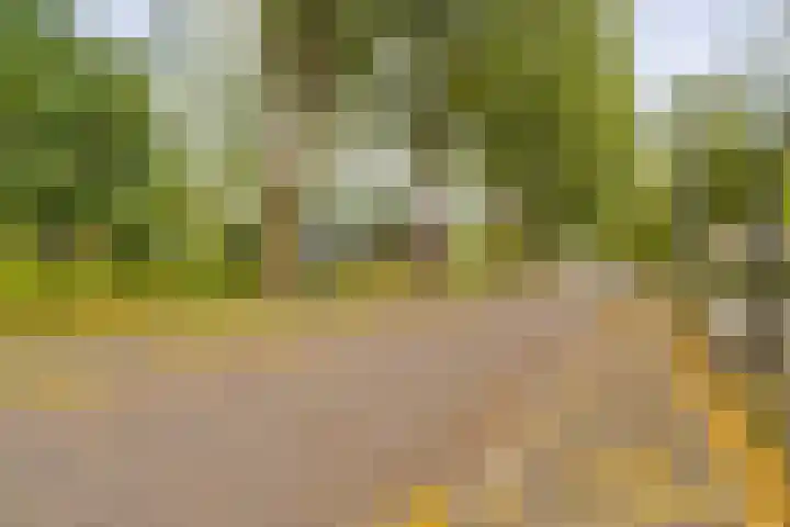 Weenahof 4 Amsterdam thumbnail 32