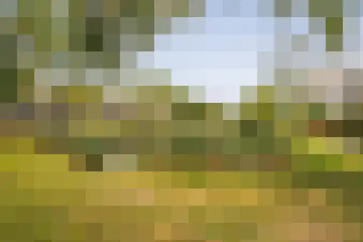 Weenahof 4 Amsterdam thumbnail 33