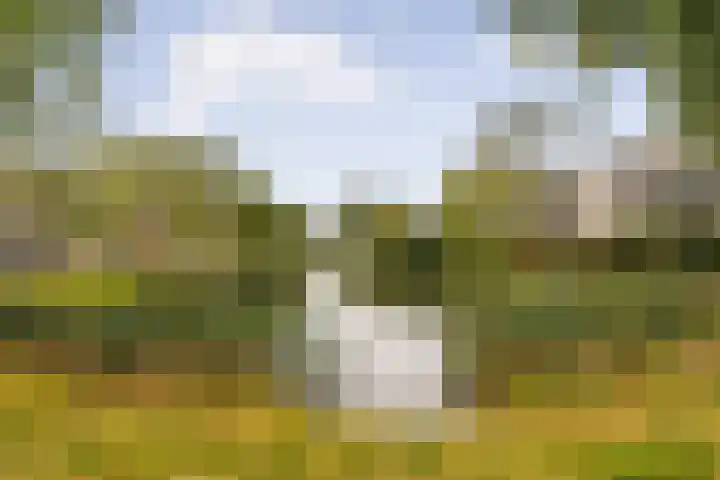 Weenahof 4 Amsterdam thumbnail 34