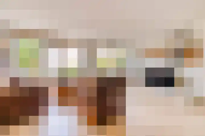 Weenahof 4 Amsterdam thumbnail 6