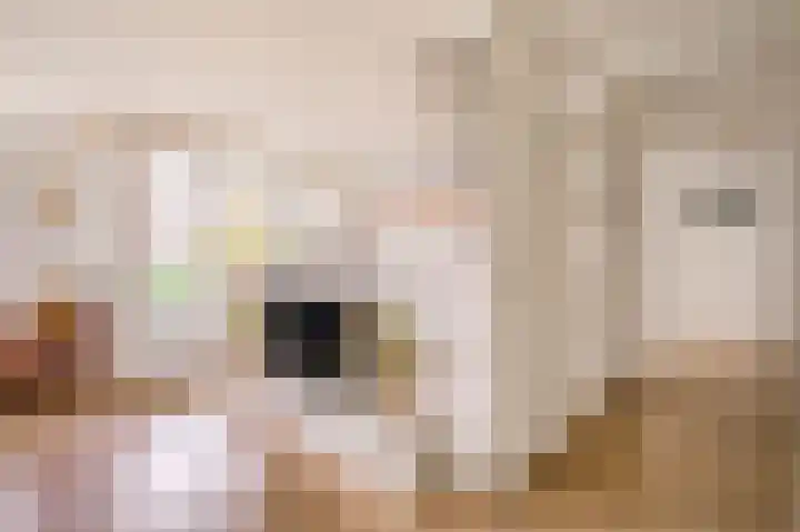 Weenahof 4 Amsterdam thumbnail 7