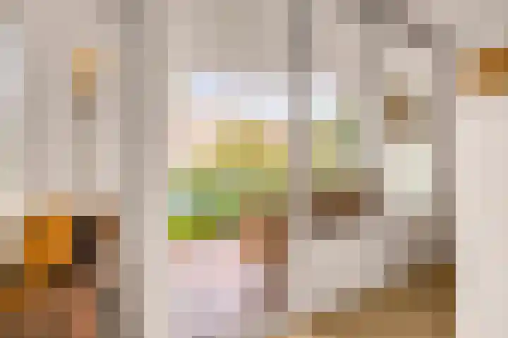 Weenahof 4 Amsterdam thumbnail 8