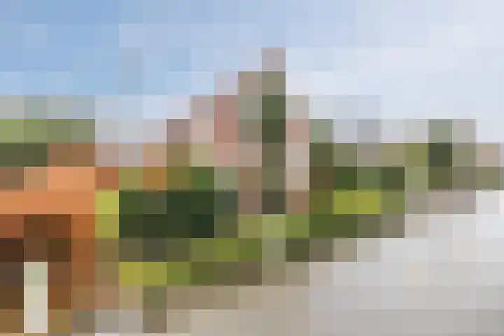 Weenderstraat 123 Vlagtwedde
