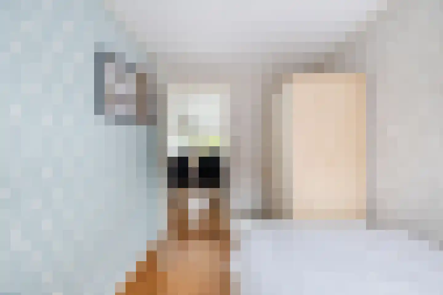 Weenderstraat 123 Vlagtwedde thumbnail 22