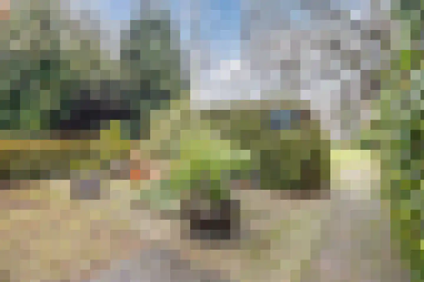 Weenderstraat 123 Vlagtwedde thumbnail 34