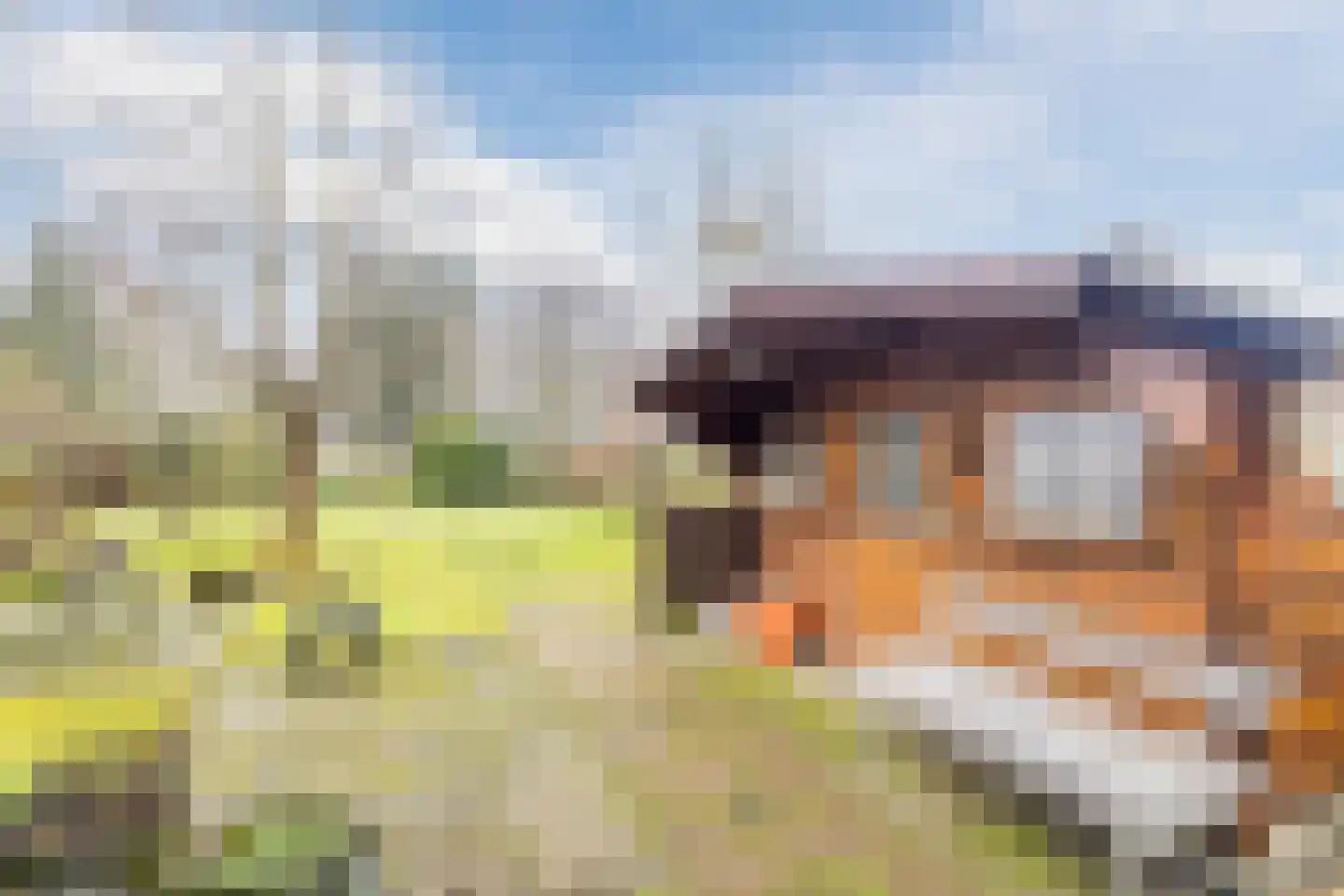 Weenderstraat 123 Vlagtwedde thumbnail 36