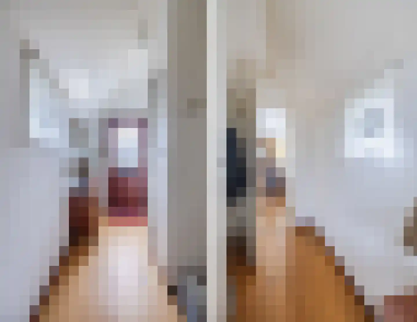 Weenderstraat 123 Vlagtwedde thumbnail 6