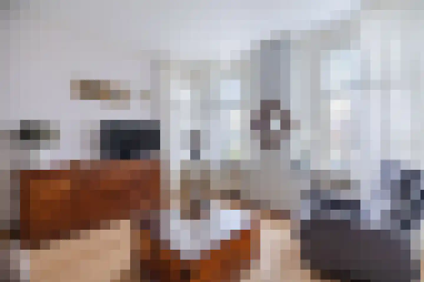 Weenderstraat 123 Vlagtwedde thumbnail 7