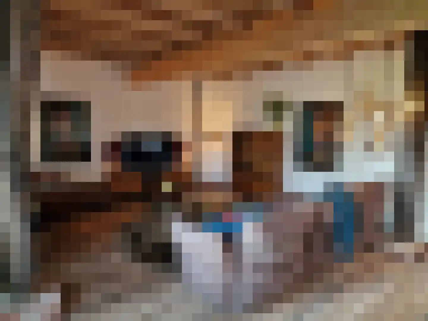 Weenderstraat 19 Sellingen thumbnail 55