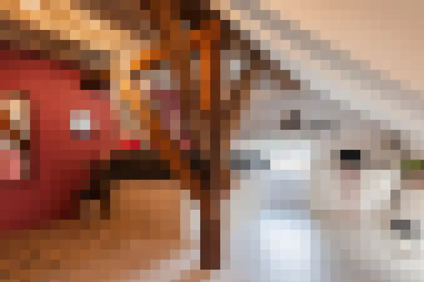 Weenderstraat 19 Sellingen thumbnail 69