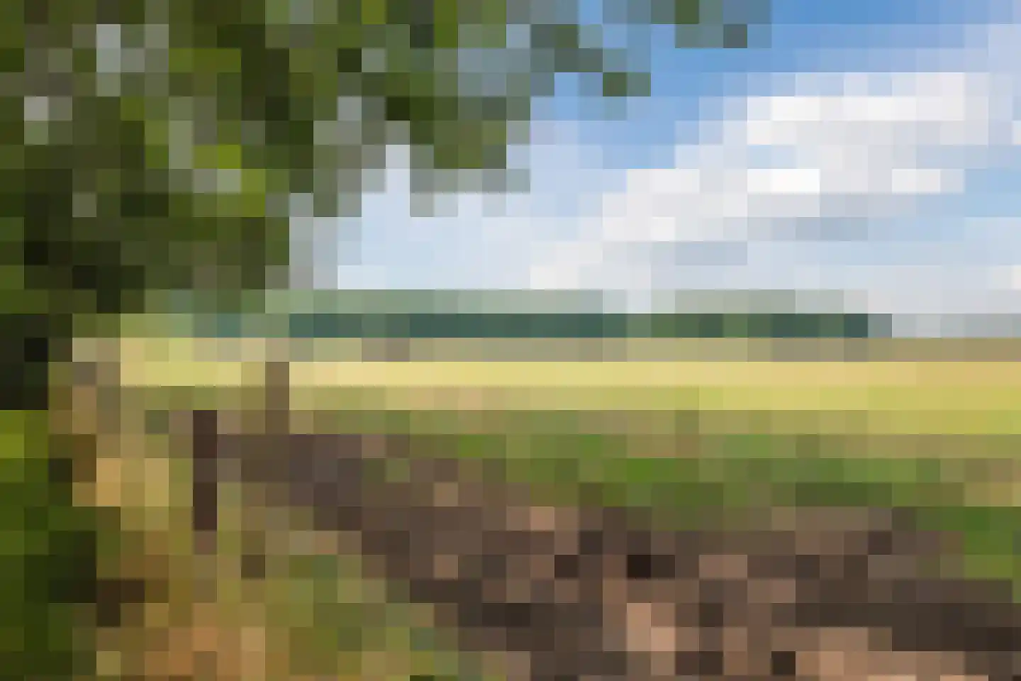 Weenderstraat 19 Sellingen thumbnail 83