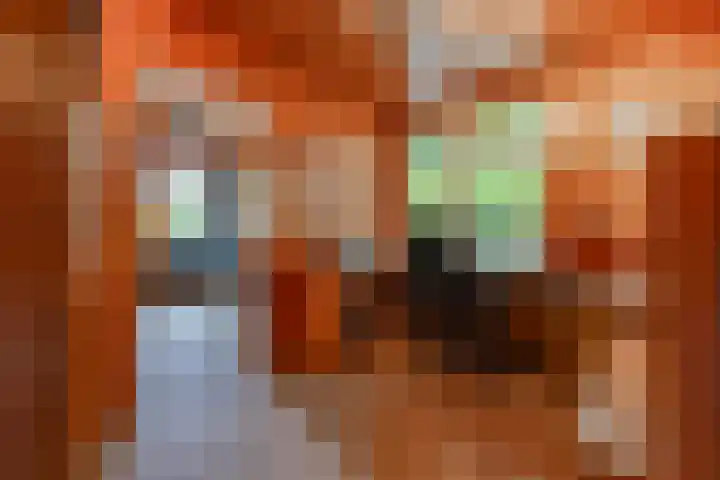 Weenderstraat 22 Sellingen thumbnail 10