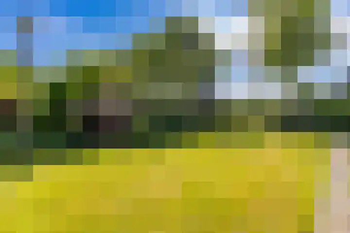 Weenderstraat 22 Sellingen thumbnail 32
