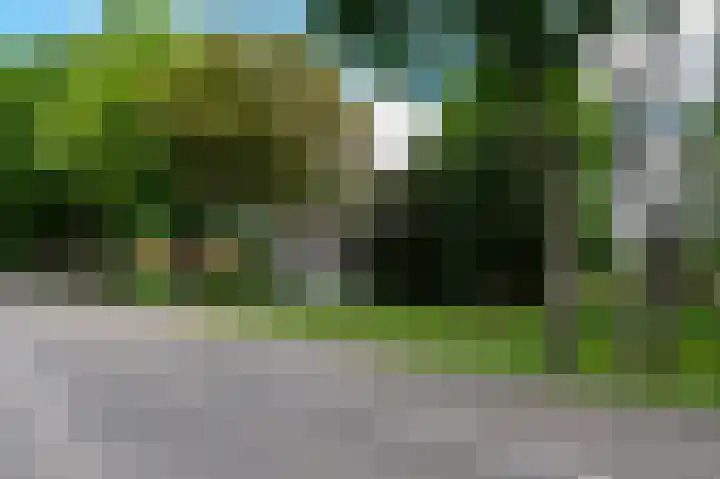 Weenderstraat 26 Vlagtwedde thumbnail 33