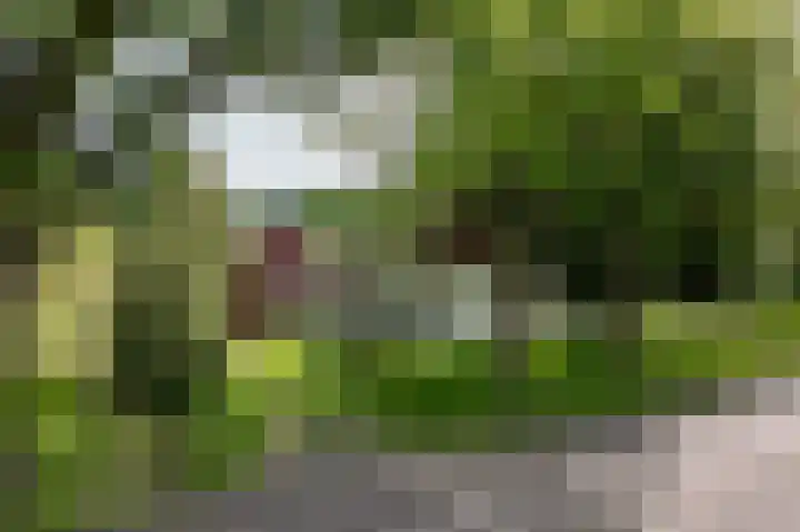 Weenderstraat 26 Vlagtwedde thumbnail 37