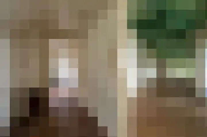 Weenderstraat 26 Vlagtwedde thumbnail 5