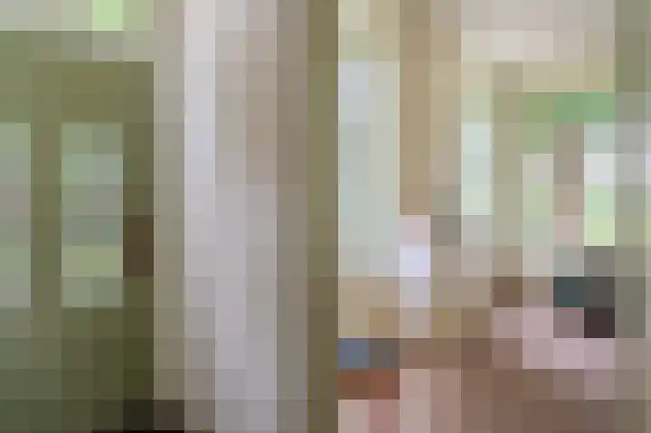 Weenderstraat 35 Vlagtwedde thumbnail 34