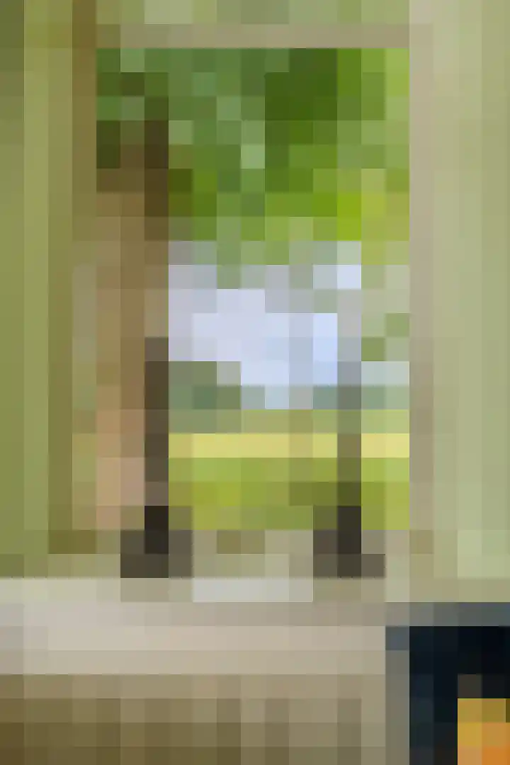 Weenderstraat 35 Vlagtwedde thumbnail 37
