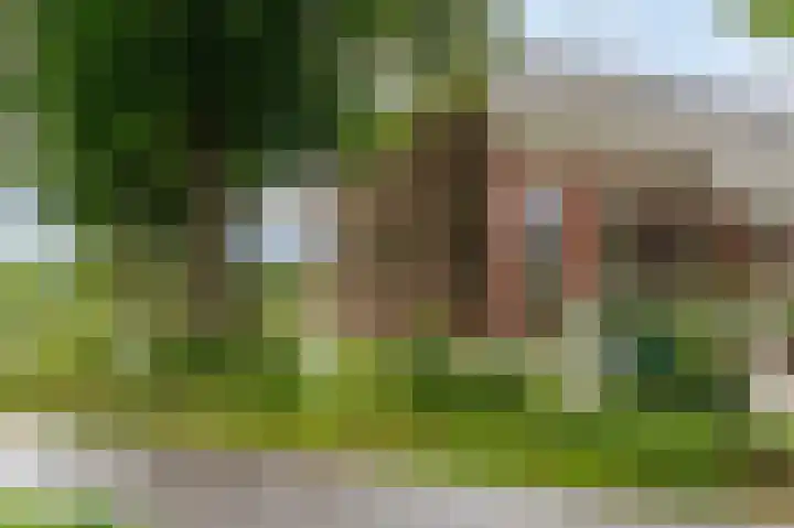 Weenderstraat 35 Vlagtwedde thumbnail 4