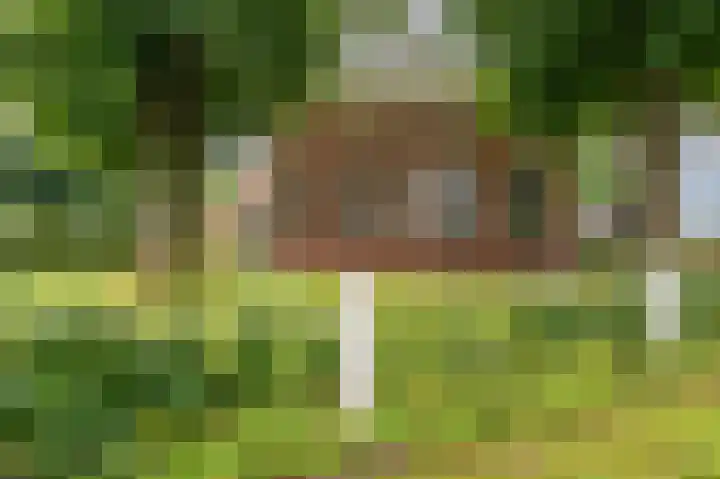 Weenderstraat 35 Vlagtwedde thumbnail 5