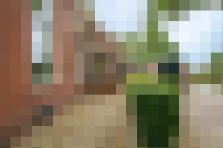 Weenderstraat 35 Vlagtwedde thumbnail 7