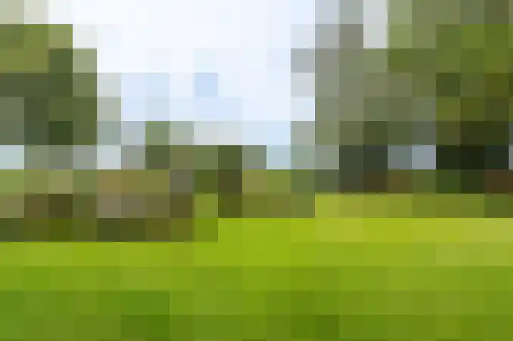 Weenderstraat 35 Vlagtwedde thumbnail 8