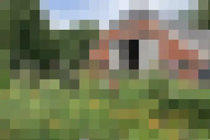 Weenderstraat 35 Vlagtwedde thumbnail 9