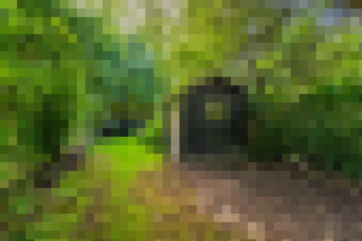 Weenderstraat 42 Vlagtwedde thumbnail 22