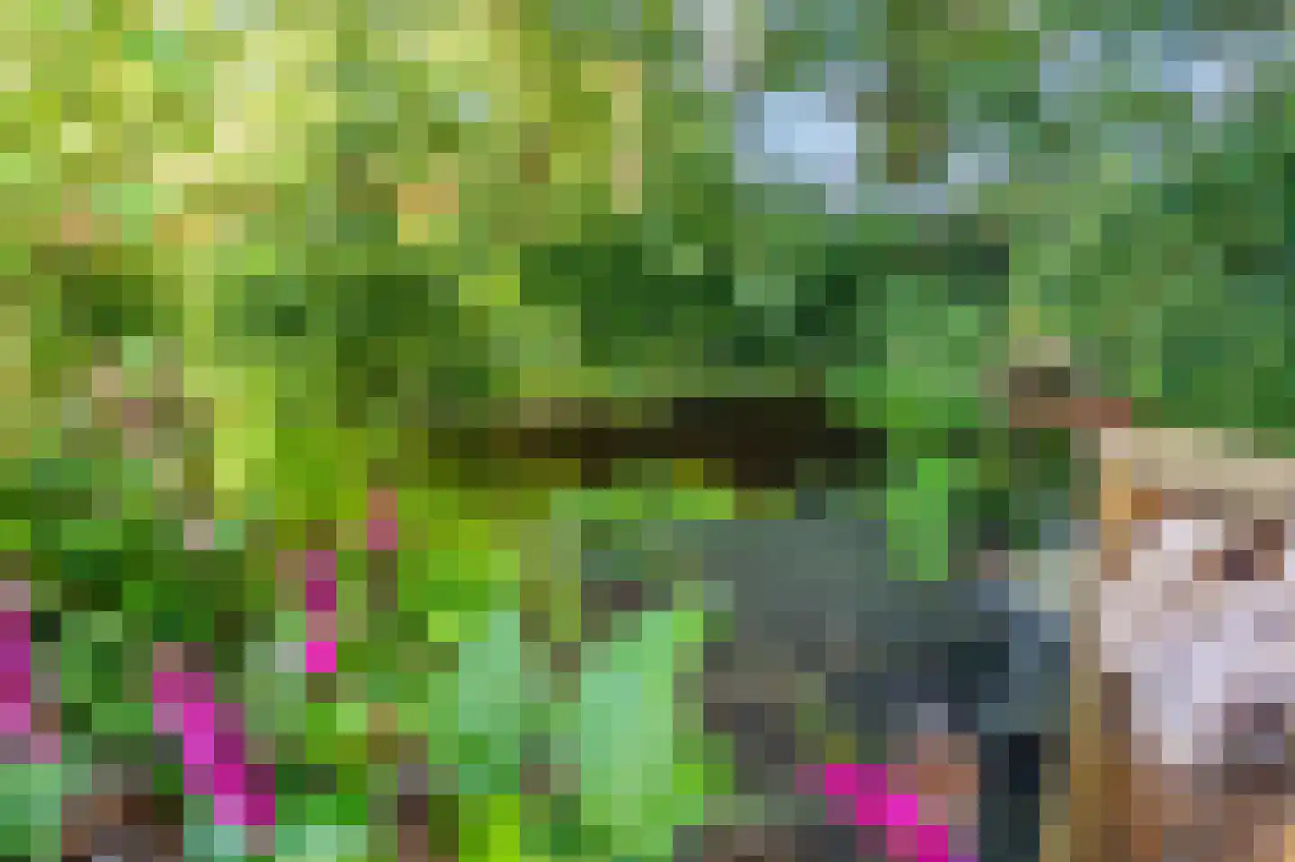 Weenderstraat 42 Vlagtwedde thumbnail 32