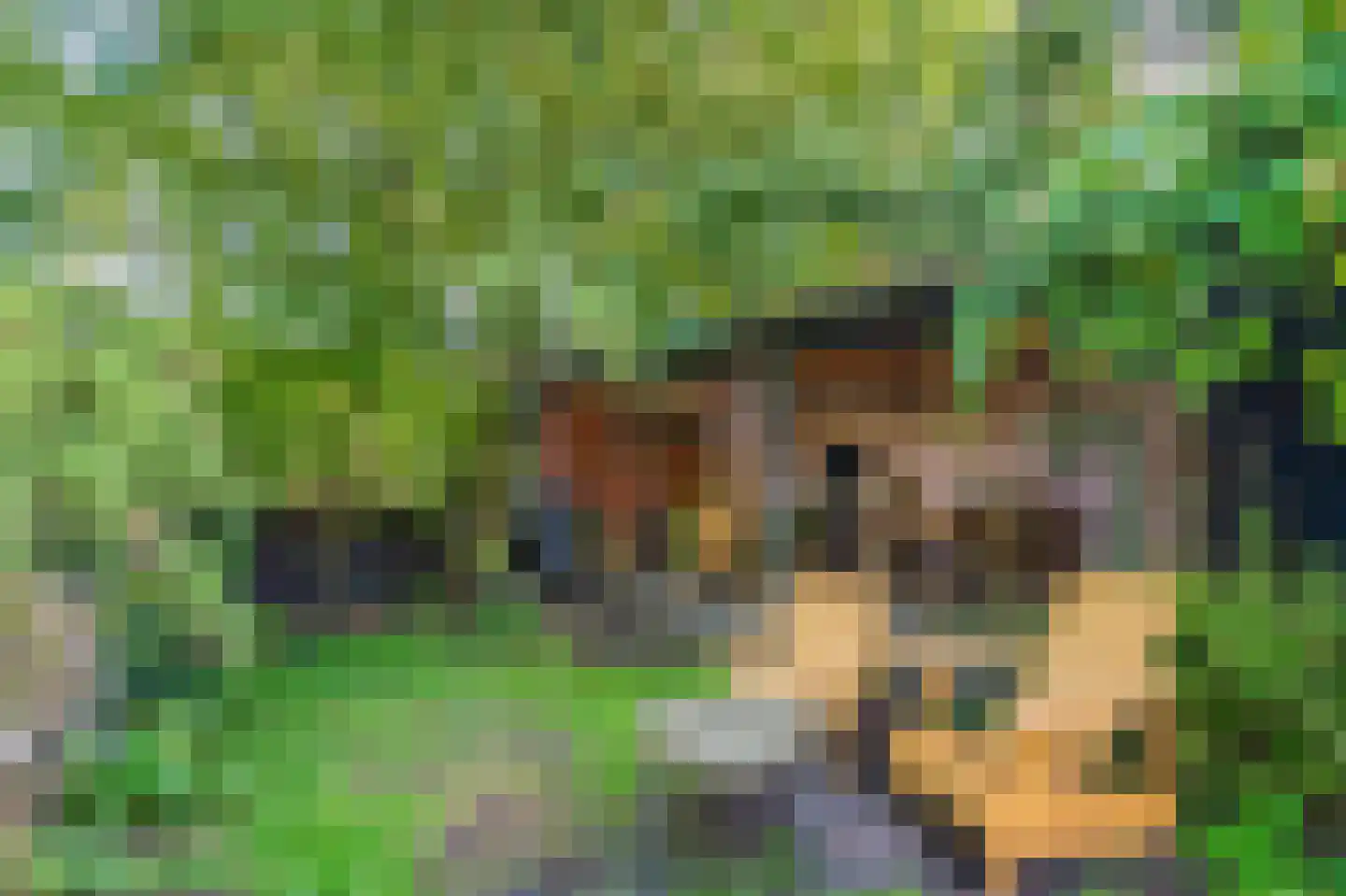 Weenderstraat 42 Vlagtwedde thumbnail 33