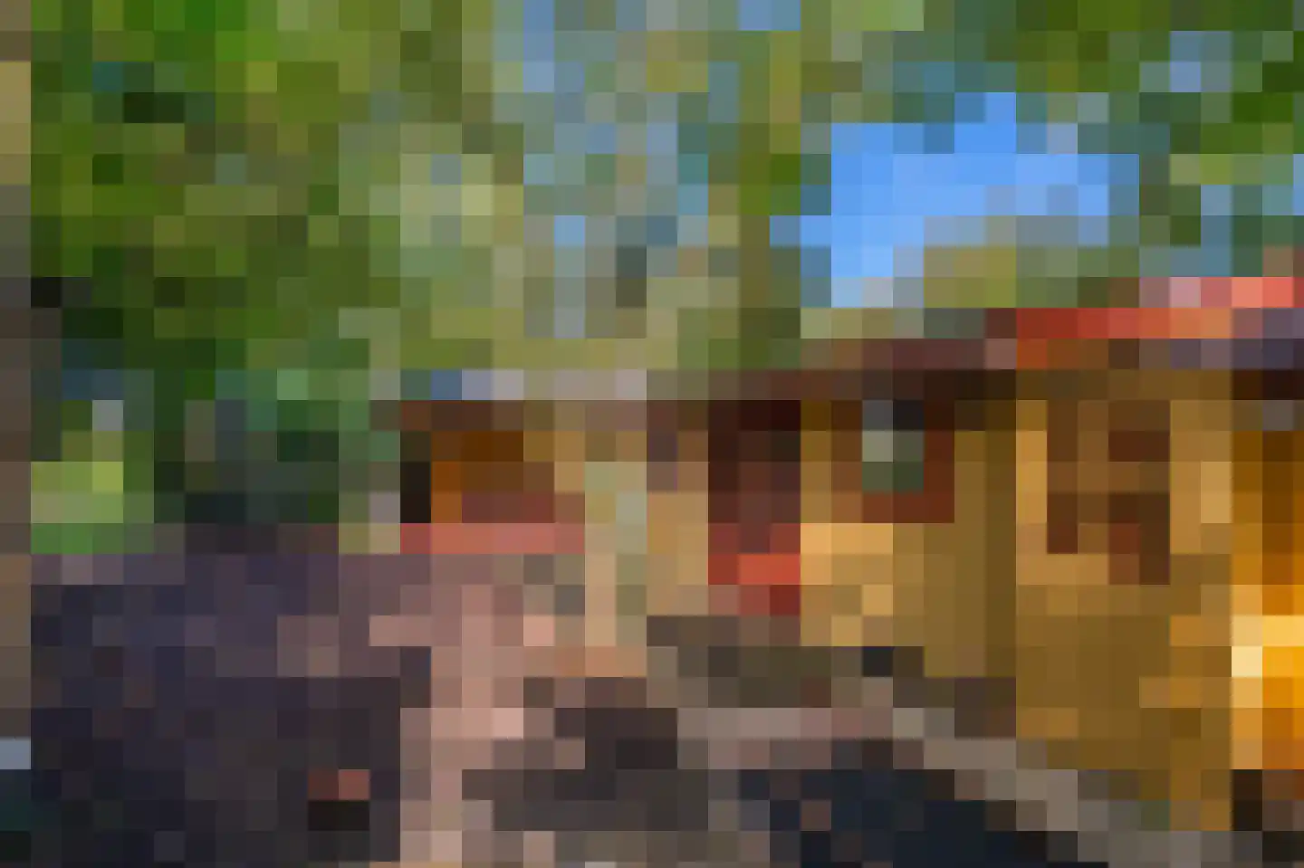 Weenderstraat 42 Vlagtwedde thumbnail 36