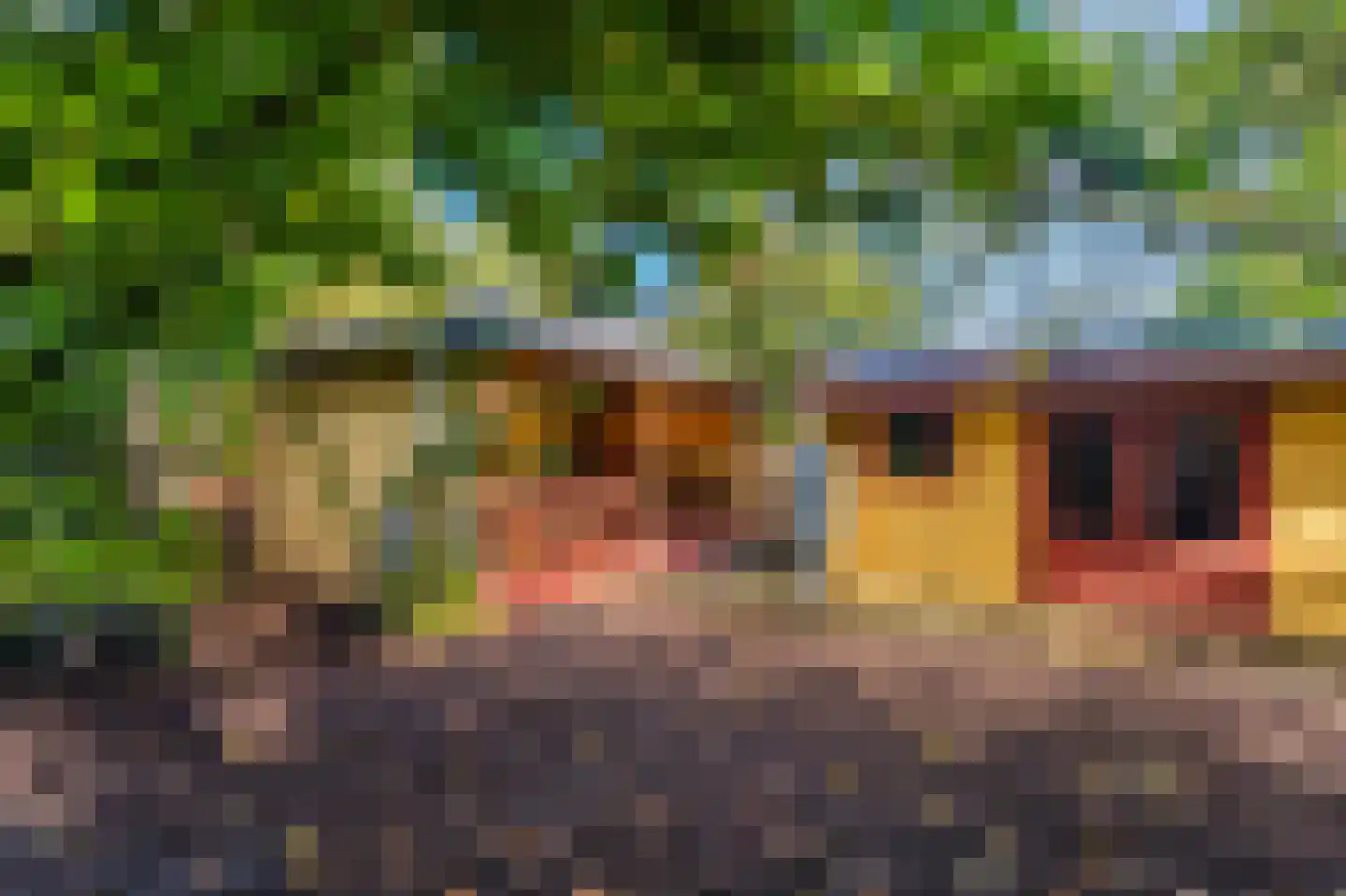 Weenderstraat 42 Vlagtwedde thumbnail 37