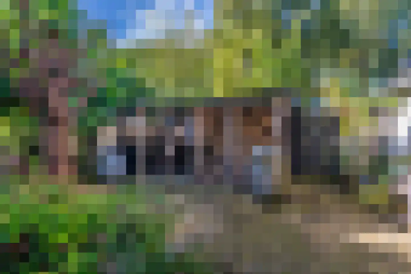 Weenderstraat 42 Vlagtwedde thumbnail 48
